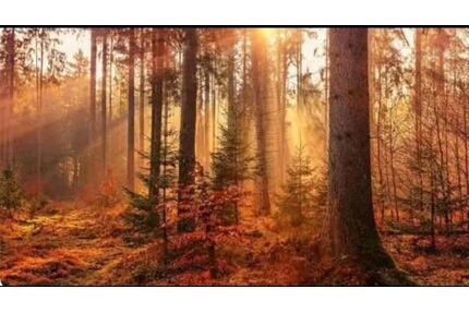 Ferienwohnung Thale Harz Quedlinburg Fahrradgarage Familienbett