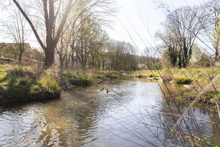 Haus zum Kaufen in Nörvenich 315.000,00 € 117 m²