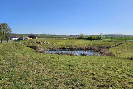 Grundstück zu verkaufen in Hofgeismar 126.750,00 € 507 m²