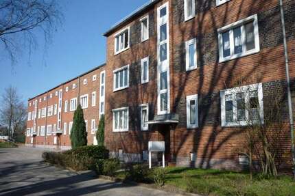 Wohnung zum Mieten in Cottbus 515,00 € 54.03 m²