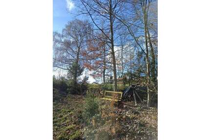 Projektiertes Baugrundstück in bester Lage von Wilhelmsfeld