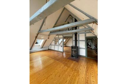 ELBBLICK pur -Leben auf 200qm mit GalerieKaminBalkon - Lauenburg/Elbe