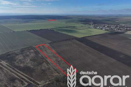 Grundstück in Börde-Hakel 115.800,00 € 46353 m²