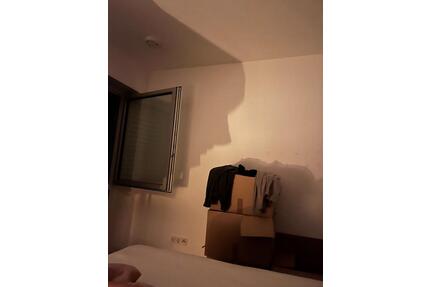 Möbliertes WG Zimmer auf Zeit zu vermieten ab 11.5. - Ende 0926 - Hainburg