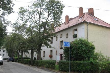 Kleine Wohlfühlwohnung mit Badewanne im Finkenweg 9 Naumburg (Saale)