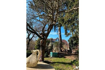 Göttingen-Juwel: Doppelhaushälfte mit 2.90m Deckenhöhe XL Garten