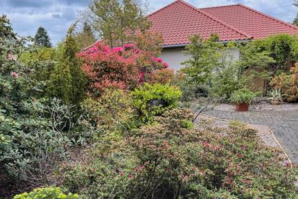 Hochwertiges Einfamilienhaus in wunderschöner Lage - Schwarzheide