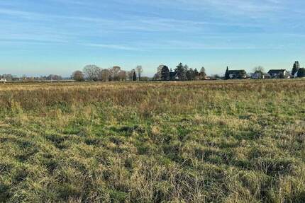 Merten: Baugrundstück für Doppelhaushälfte - Bornheim