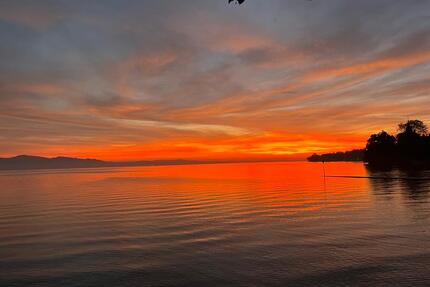 ERSTBEZUG 2026 !!!! - Helle 2-Zimmer Wohnung!!! 799 Euro!!!!! - Leipzig Nordost