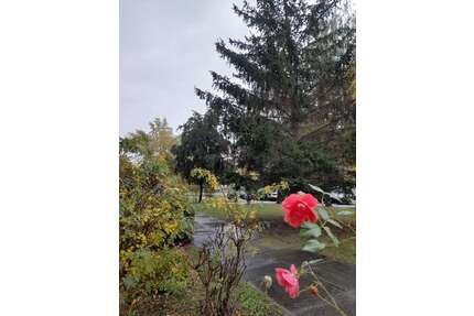 Wohnung zum Mieten in Dresden 307,00 € 47.43 m²