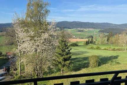 Wohnung zum Kaufen in Regen 57.000,00 € 42 m²