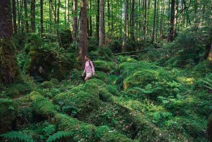 Haus zum Mieten in Stadtbergen 3.600,00 € 295 m²
