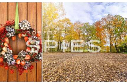 Grundstück zu verkaufen in Osterholz-Scharmbeck 249.000,00 € 3519 m²