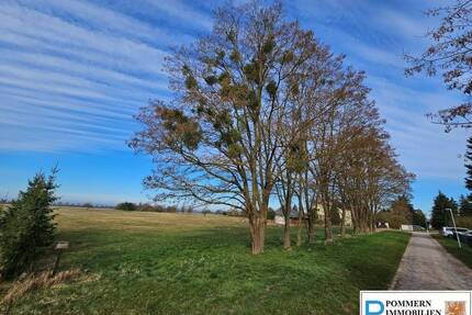Ca.1,4 ha am südlichen Dorfrand! - Ducherow Schwerinsburg
