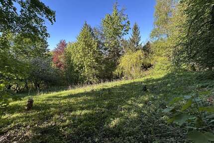 Grundstück zu verkaufen in Coburg 55.000,00 € 2530 m²