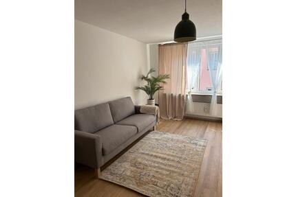 Neu saniertes Business-Apartment - Nürnberg