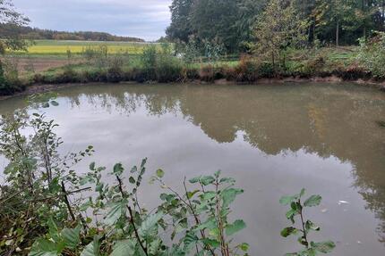 Freizeitgrundstück Teichanlage - 12,00&nbsp;EUR Kaltmiete, ca.&nbsp; 0,00&nbsp;m&sup2; in Scheßlitz (PLZ: 96110)
