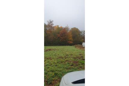 3400qm großes FreizeitgrundstückGartenKoppel in Pirmasens!