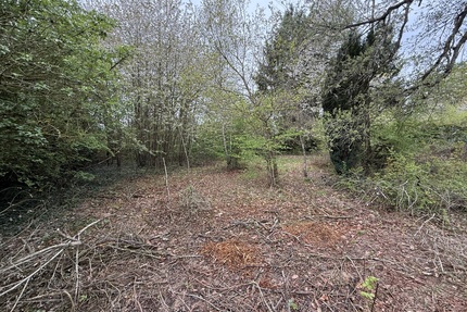 Kelkheim: Hier erfüllen Sie Ihren Traum! Idyllisches Grundstück im Wochenendgebiet