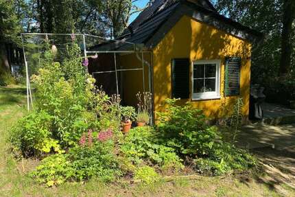 Haus zum Mieten in Much 1.250,00 € 100 m²