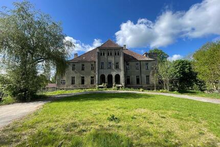 Schloss Düssin - 400.000,00&nbsp;EUR Kaufpreis, ca.&nbsp; 1.700,00&nbsp;m&sup2; in Amt Neuhaus (PLZ: 19273)