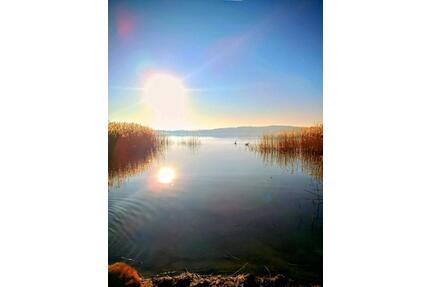 Nachmieter 3-RW in 17166 Bristow ab 06.2026 - Teterow