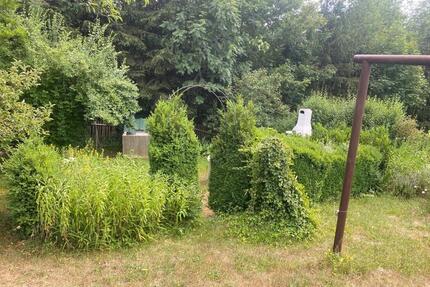 Pachtgarten (Nähe Schortetal) abzugeben - Ilmenau