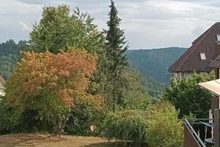 4 Zimmer Wohnung in Bad Liebenzell-Monakam