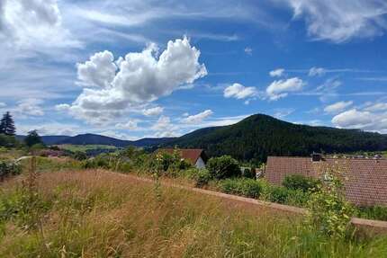 Wohnung zum Kaufen in Baiersbronn 89.000,00 € 62 m²