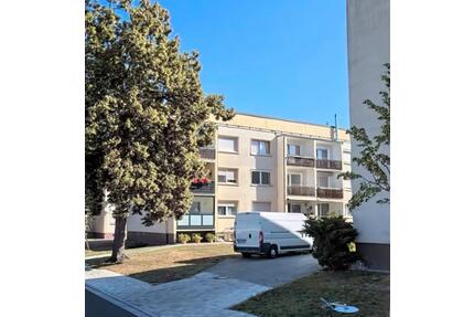 Sanierungsbedürftige Wohnung in der Nähe vom Wörlitzer Park zu vermieten - Oranienbaum-Wörlitz