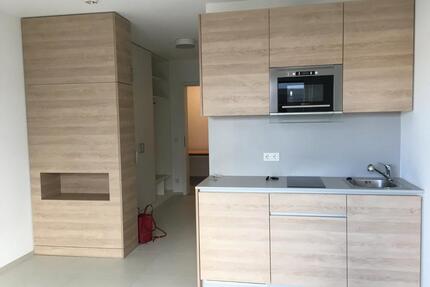 Queich-Promenade - neuwertiges City-Appartement - Landau in der Pfalz