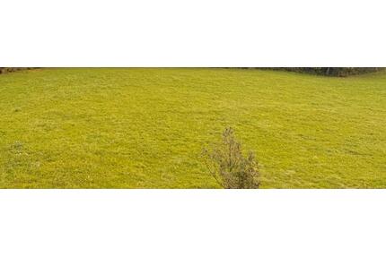 9,5 ha landwirtschaftliche Fläche zu verpachten - Engen