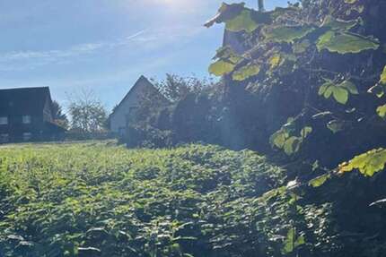 Grundstück zu verkaufen in Dortmund 125.000,00 € 320 m²