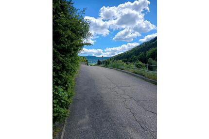 2 Zi Whg 80 qm in Badherrenalb - 800,00&nbsp;EUR Kaltmiete, ca.&nbsp; 80,00&nbsp;m&sup2; in Bad Herrenalb (PLZ: 76332)