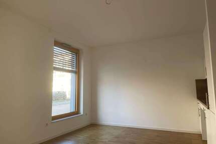 Wohnung zum Mieten in Greifswald 500,00 € 34.5 m²