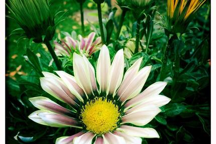 Solides Einfamilienhaus - 357.000,00&nbsp;EUR Kaufpreis, ca.&nbsp; 140,00&nbsp;m&sup2; in Dülmen (PLZ: 48249)