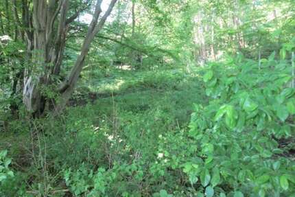 Grundstück zu verkaufen in Osterholz-Schrambeck 7.000,00 € 329 m²