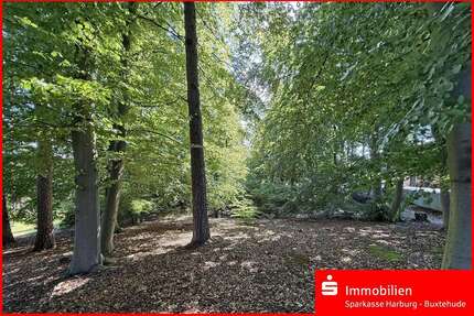 Grundstück zu verkaufen in Buchholz 260.000,00 € 1300 m²