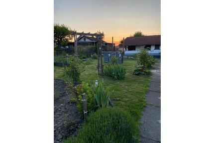 Kleingarten im KGV Hegelsberg (34127) abzugeben - Kassel Nordshausen