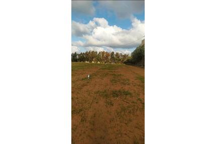 Grundstücke in Meeresnähe Tunesien Dar Allouch – Top Lage! - Kehl