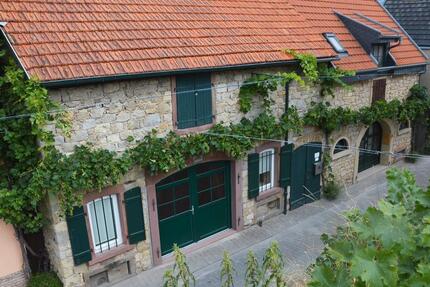 Urlaub im Rebenmeer Rheinhessen Guntersblum Ferienhaus von Privat