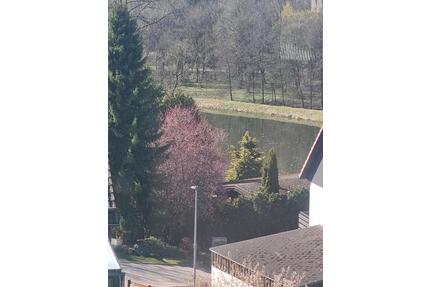 Wunderschöne 3-Zimmerwohnung mit Seeblick Clausthal-Zellerfeld