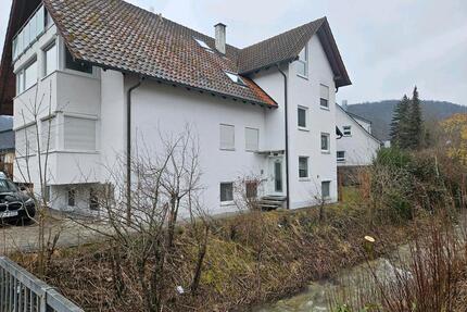 Moderne 2.Zimmer WHG Erdgeschoss Fussbodenhzg. Keller Park - Bad Ditzenbach