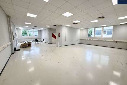Halle in Renningen 1.900,00 € 272 m²