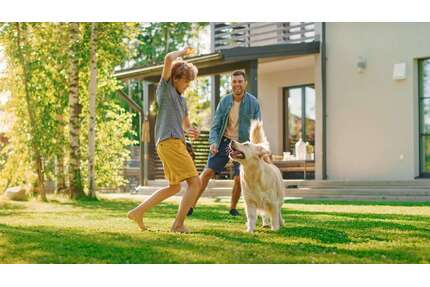 Grundstück zu verkaufen in Chemnitz 50.000,00 € 876 m²