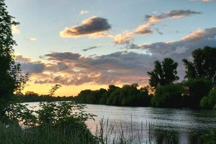 Haus mit 4 WE, Scheune u. 1-Fam.-Haus in Neckarlage, OT Edingen - 60003985 - Edingen-Neckarhausen