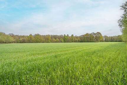 Grundstück in Hövelhof 89.000,00 € 5123 m²