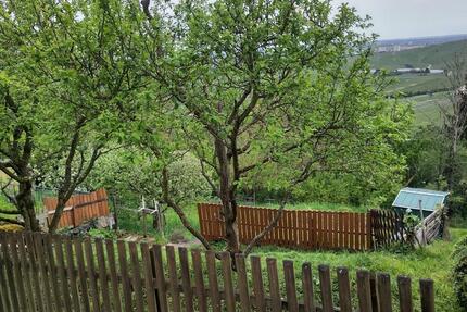 Garten in Rotenberg zu verpachten - Stuttgart Luginsland