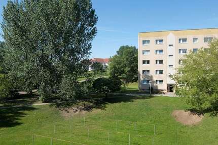 Wohnung zum Mieten in Döbeln 210,00 € 27.9 m²