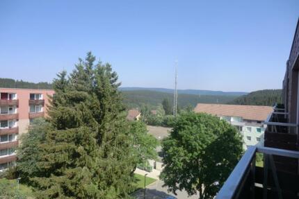 Kompakte Zweizimmerwohnung für Urlaub oder langfristige Nutzung - Harz (LK Goslar) Bergstadt Altenau-Schulenberg i.O.